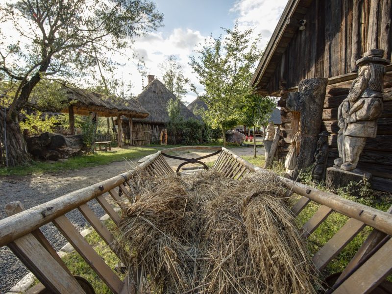 Parku Kultury Ludowej