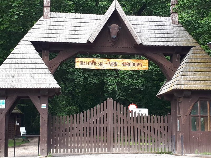 PODLASIE – BIAŁOWIEŻA