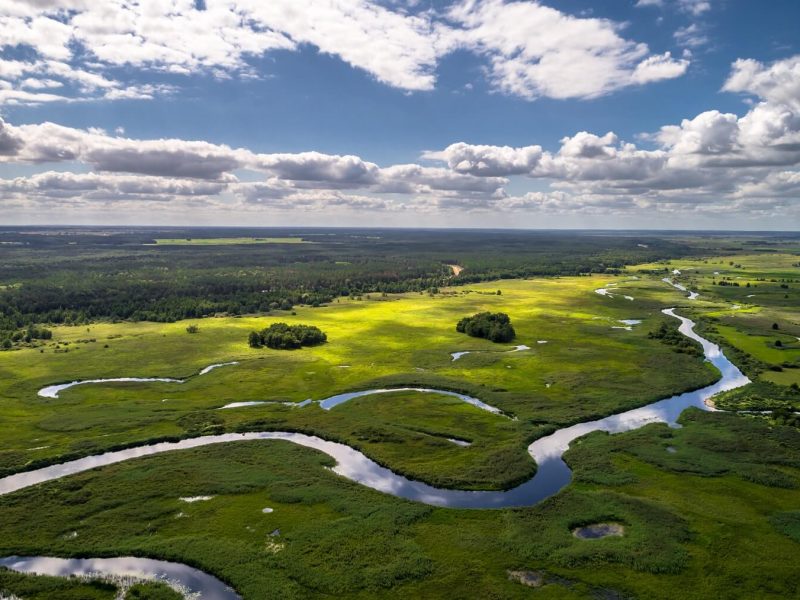 Biebrzański Park Narodowy