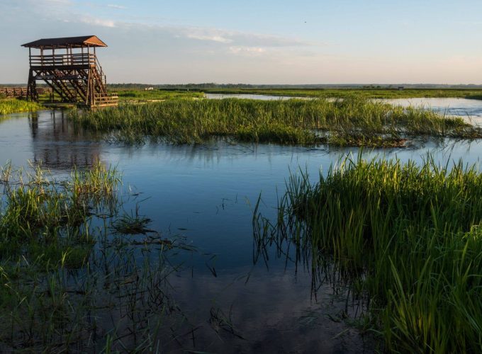 Narwiański Park Narodowy
